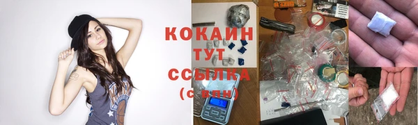 мяу мяу кристалл Богданович