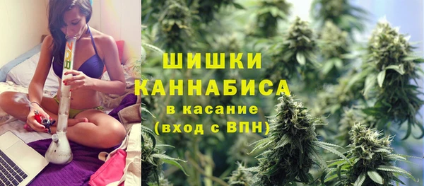 мяу мяу кристалл Богданович